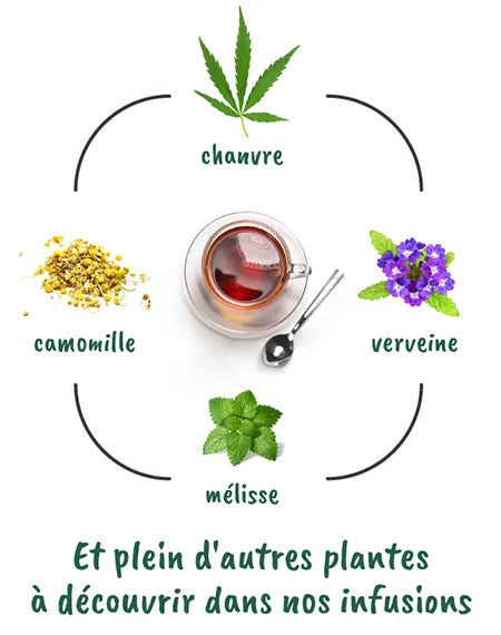 Les bienfaits de la tisane de CBD - Marie Claire