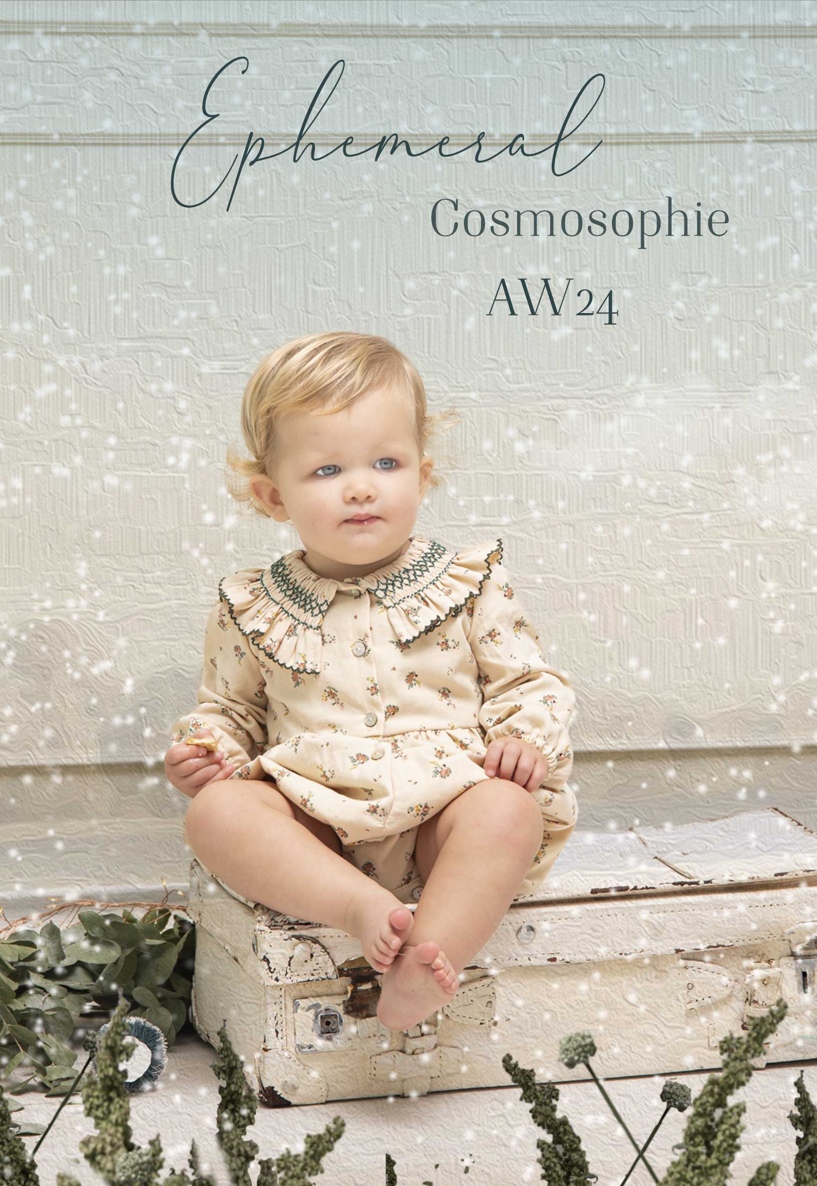 aw24 cosmosophie