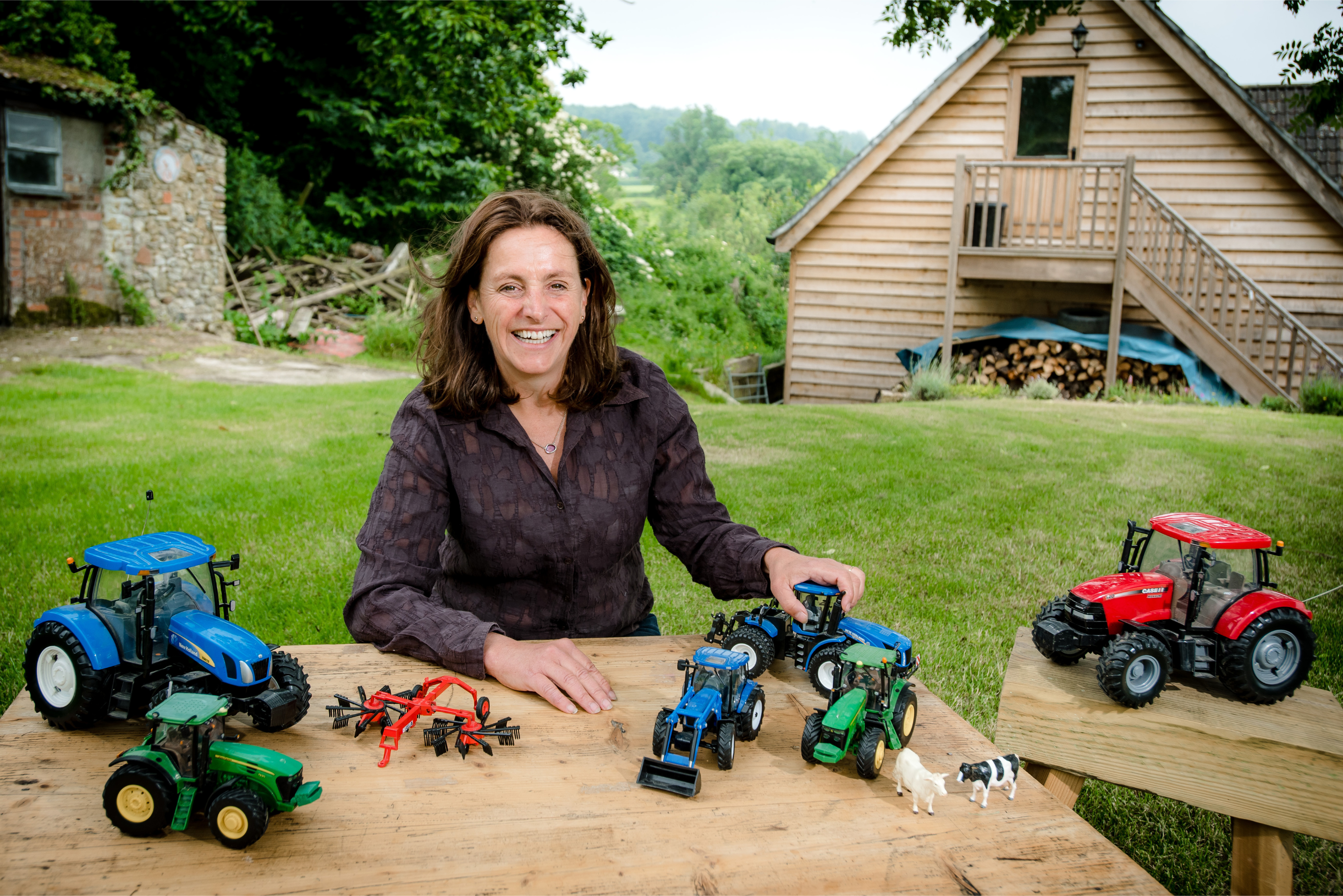 About Farm Toys Online - Julia Lowe