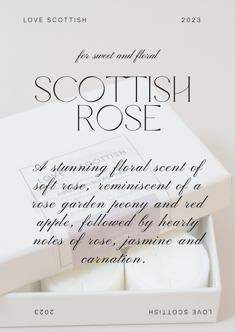Scottish Rose Infographic for Spring Scents 2023