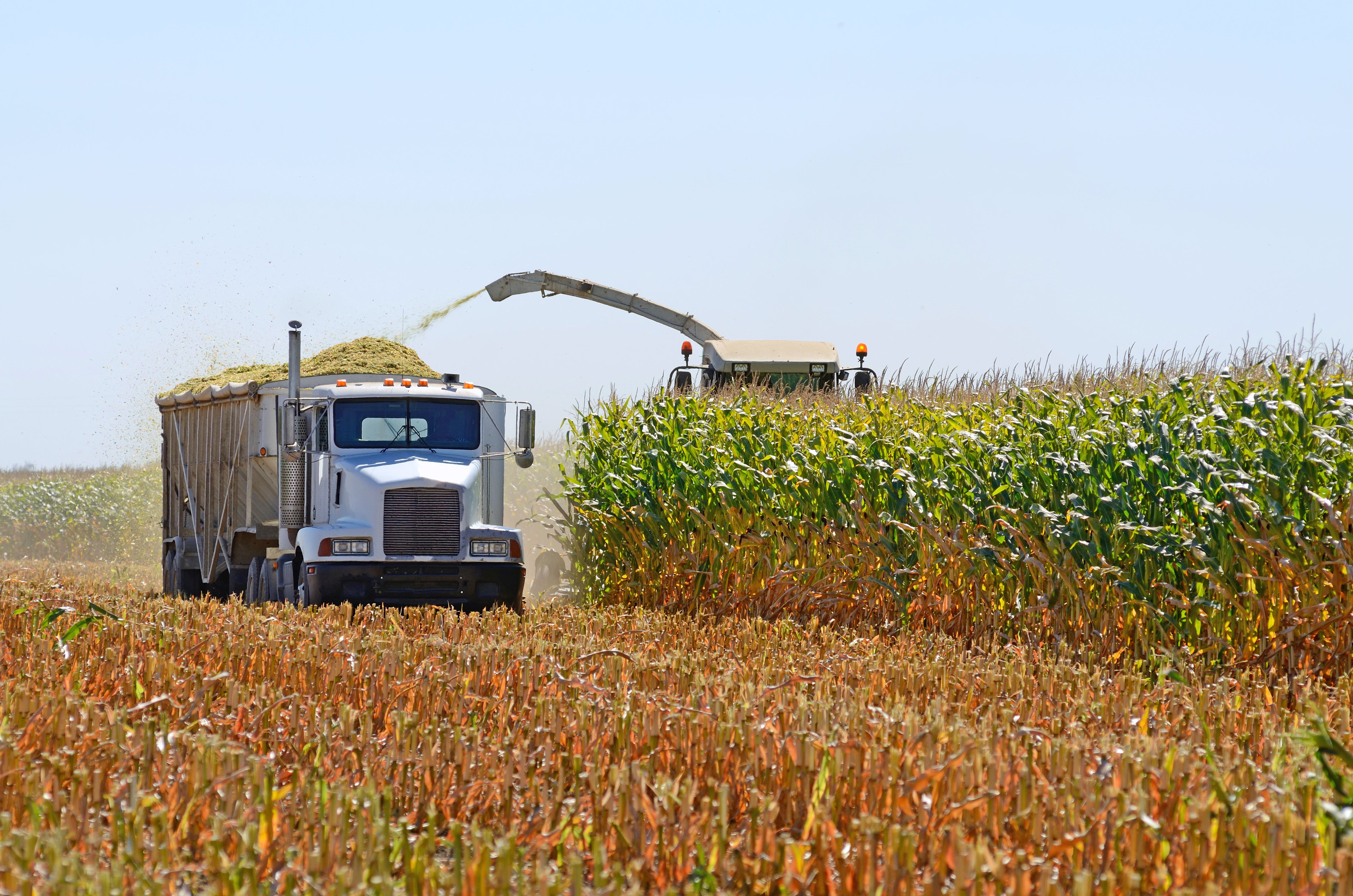 Truck and Tractor
