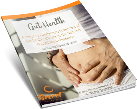 gut health ebook with receipes