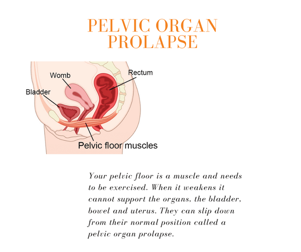 what does a normal pelvic floor look like