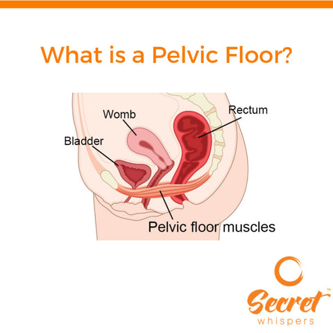 what is a pelvic floor