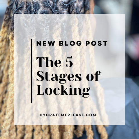 Photo of woman with loc'd twists - 5 stages of locking 