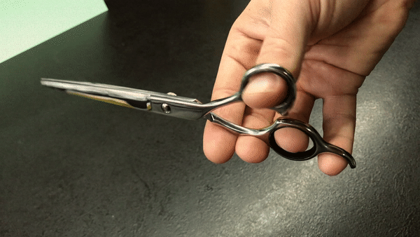 GIF image showing the correct way to place the fingers in the holes and moving the scissors.