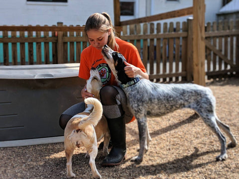 Grace petting several dogs in an outdoor setting