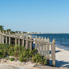 Sandy beach and blue skies at Cape Cod.