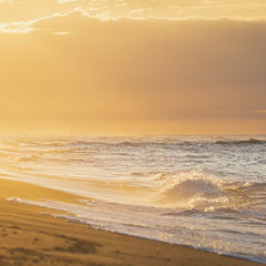 A beach at Cape Cod