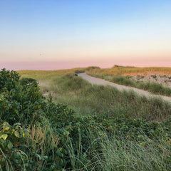 Grassy beach at Cape Cod