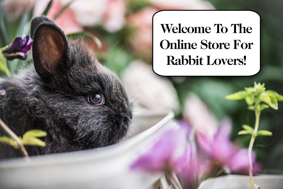 rabbit online store