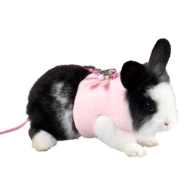 rabbit harness and leash