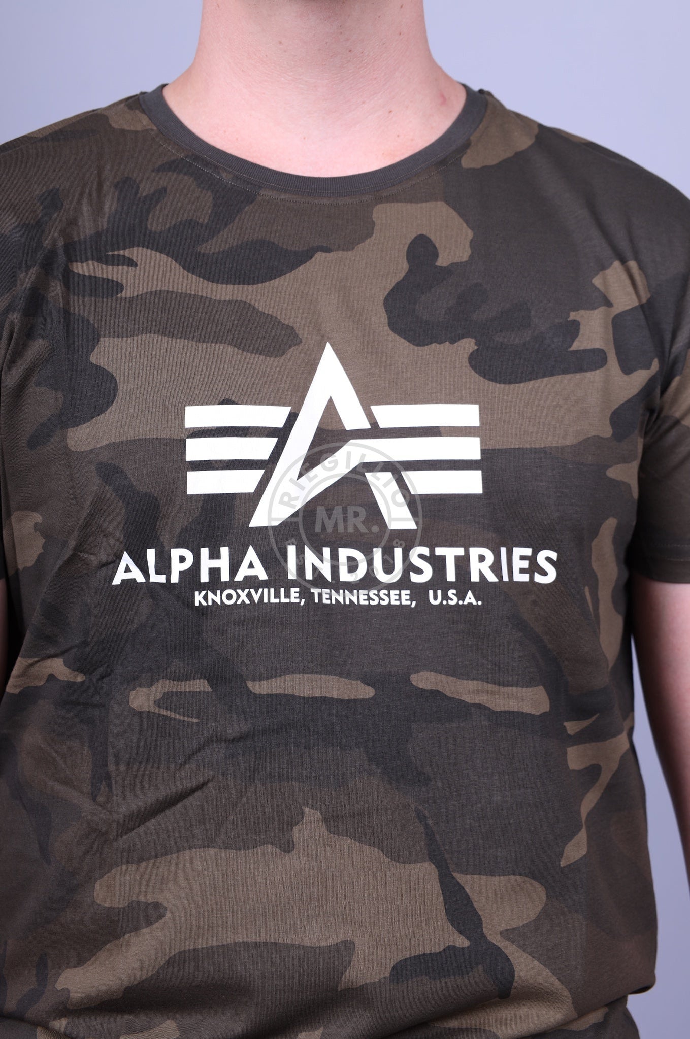 Alpha Industries Basic T-Shirt Black Camo at MR. Riegillio