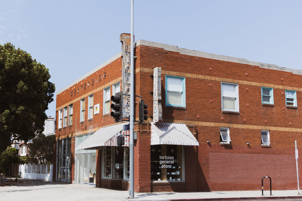 tortoise general store