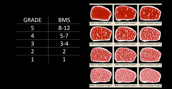 Beef Grade Chart