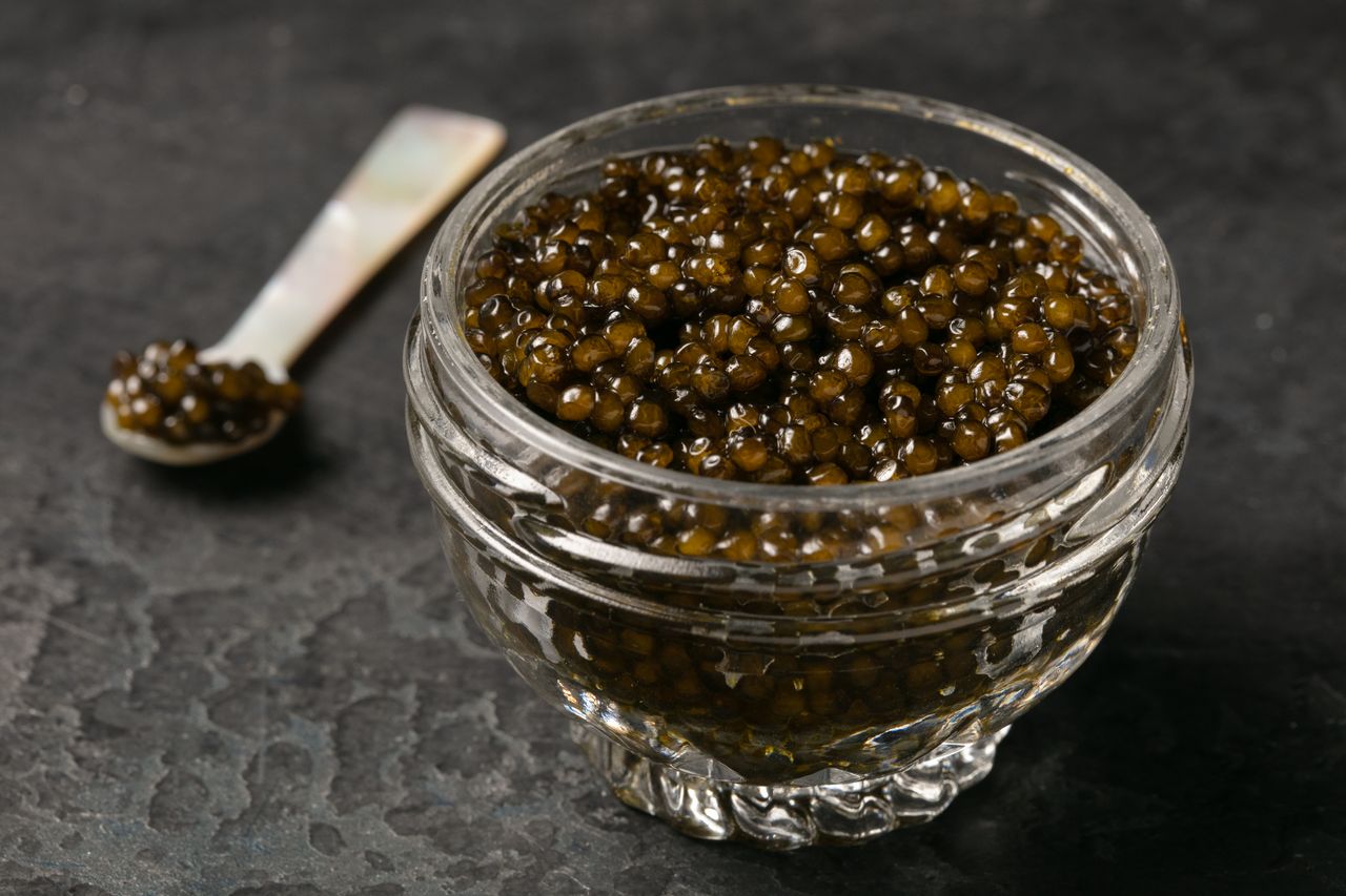 An In-Depth Guide to Premium Caviar - The Wagyu Shop