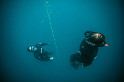 Freediving Tips for Beginners with Breathless Expeditions and Erthe Life