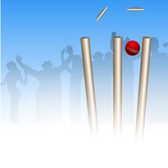 cricket strategic partnerships