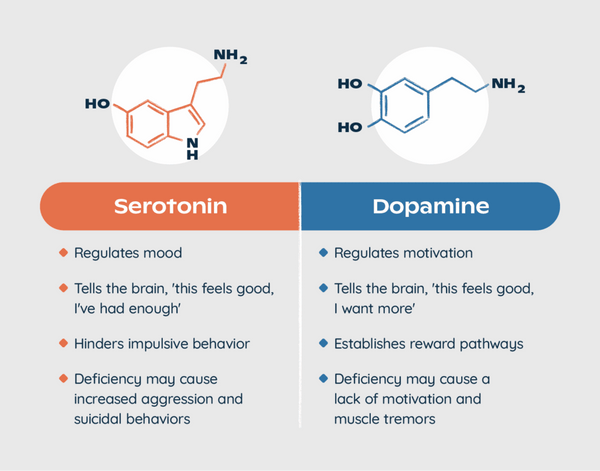 Dopamine vs serotonin