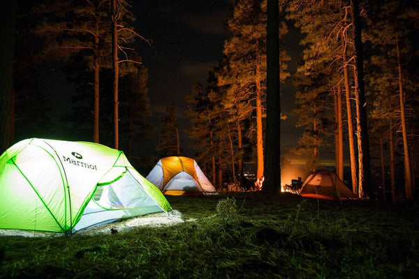 Several illuminated tents, one of the most crucial spring camping gear essentials, in a forest at night