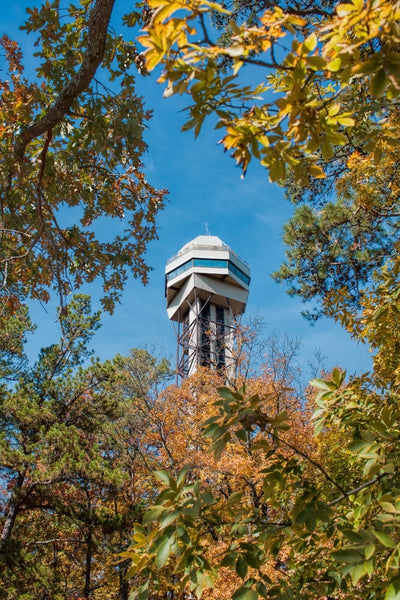 Hot Springs Mountain Tower through trees, one of the best viewpoints of downtown Hot Springs Arkansas