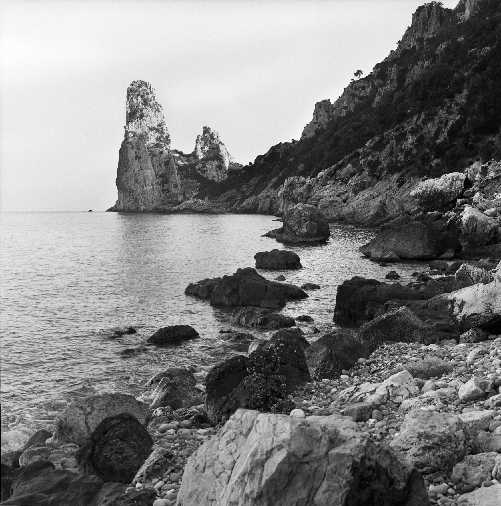 Beach landscape. Photo by Jonas Spinoy.