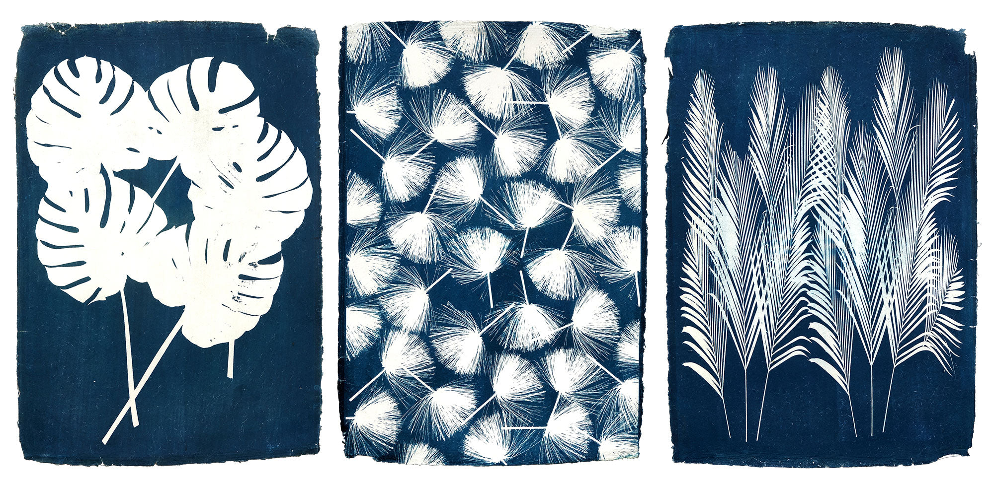 Historical Processes: The Cyanotype