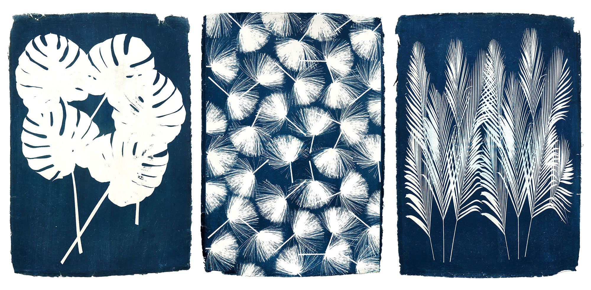 How to make Cyanotypes on Paper?