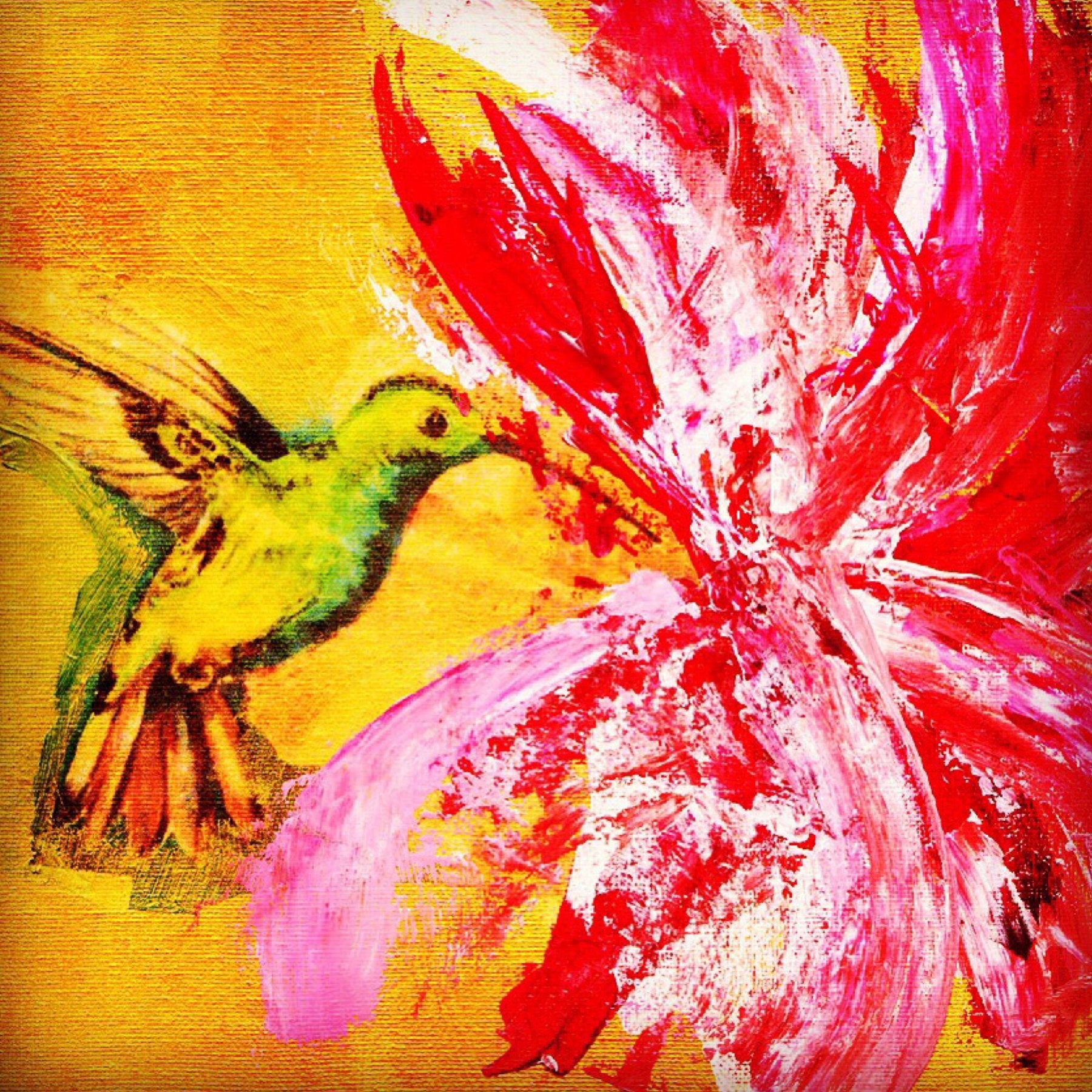 Hummingbird and Hibiscus 1