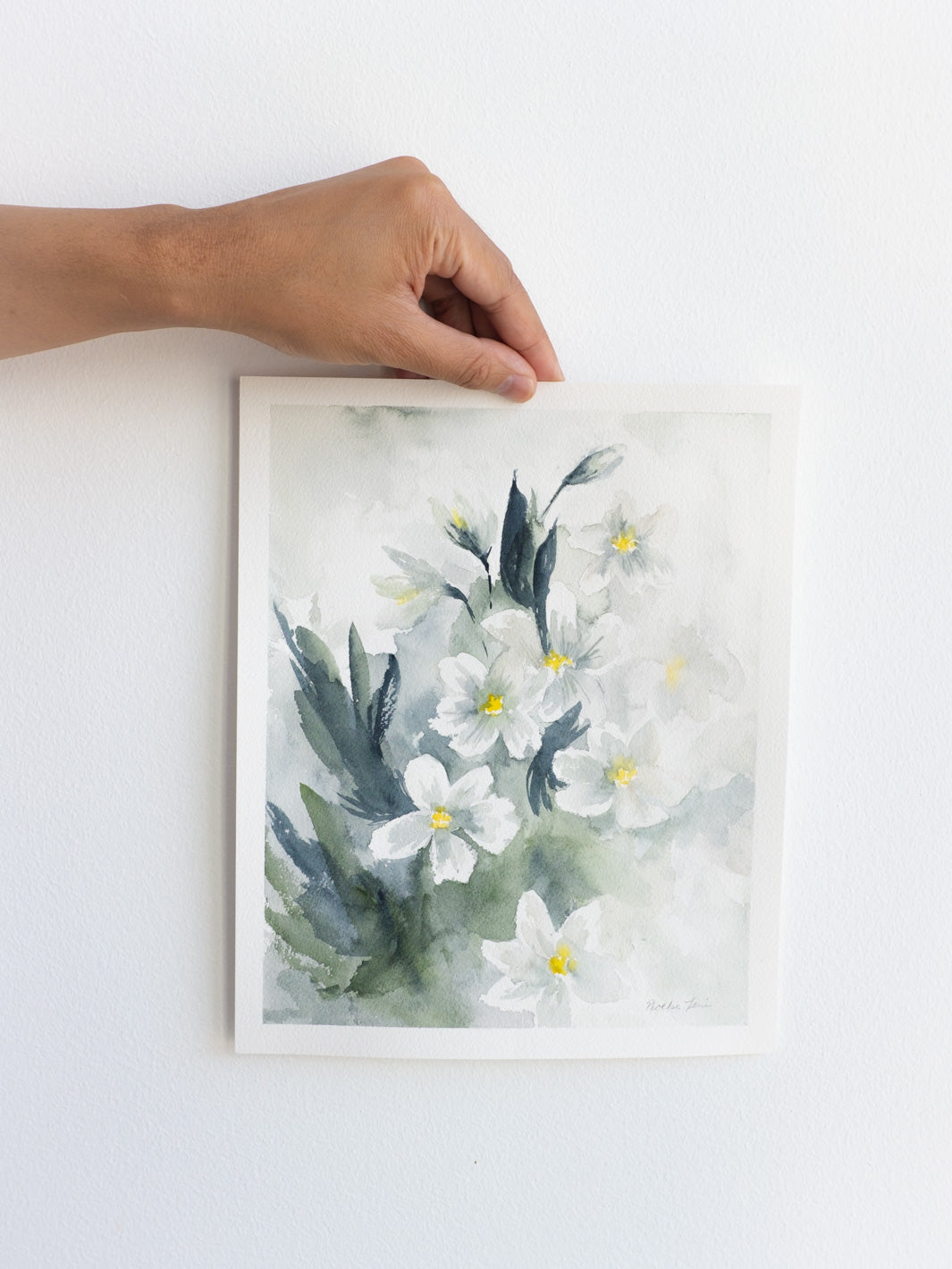 Water Fairy Narcissus", December Birth Flower - 8X10 Original Waterco – Love By Phoebe