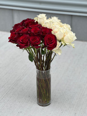 Red and white roses