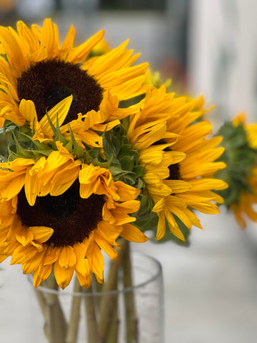 Sunflowers