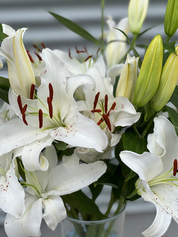 Lilies