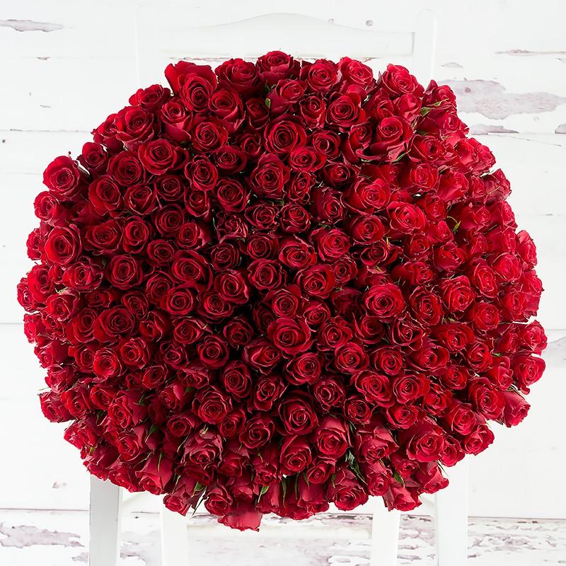 Royal 200 Red Roses | Nectar Flowers Ottawa