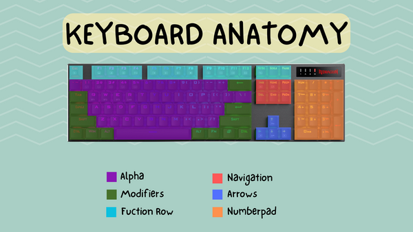 Anatomy of a TKL Keyboard