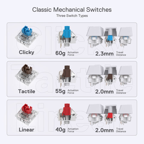Choose a Switch that Fits Your Needs