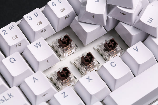 brown switches