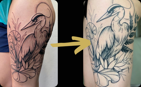 Shows a floral & heron tattoo by artist Lu Loram Martin, from fresh to 1 year healed. 