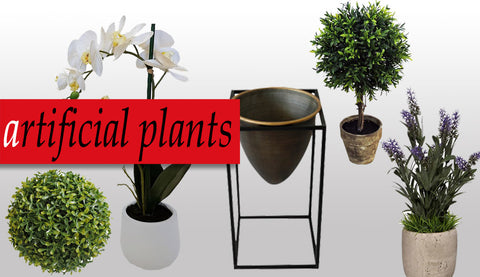 Decorating With Indoor Plants | mishLifestyle