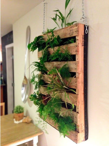 Vertical Green Herb Wall Ideas - Nisreen Gabuji