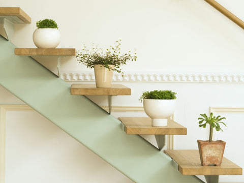 Decorating With Indoor Plants | mishLifestyle