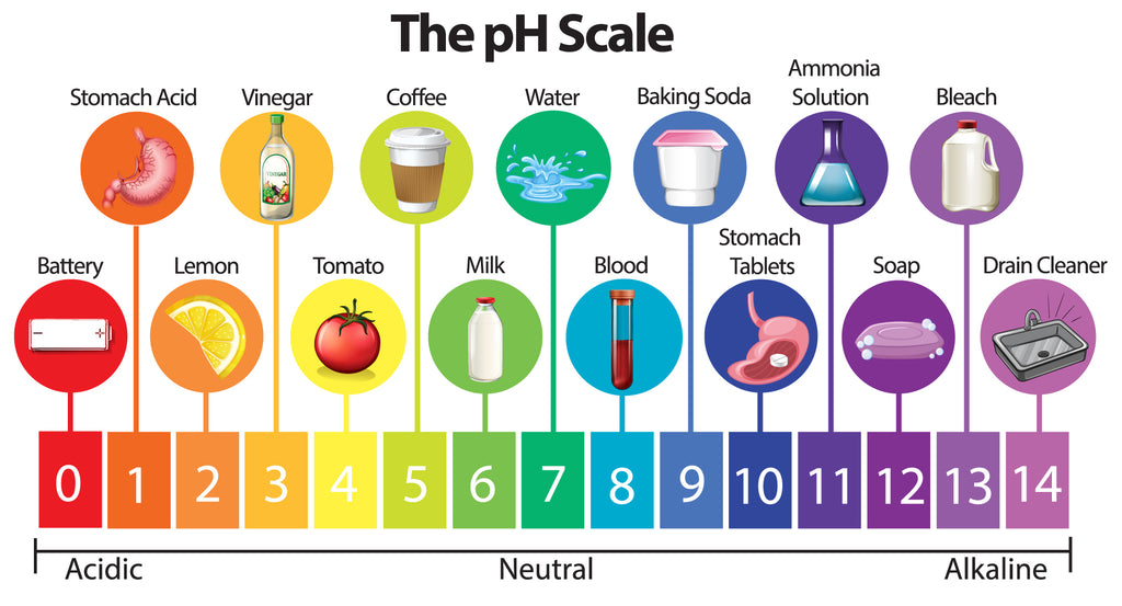 pH scale featuring alkaline product examples, such as water, coffee