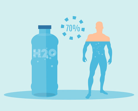 Waterbottle and human infographic