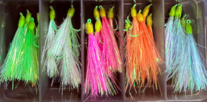 Menpachi Killah Smash Box (25PC) - Venture Wetsuits