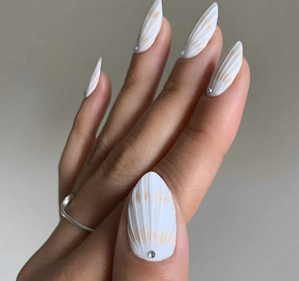 White and Beige Seashell Stripes