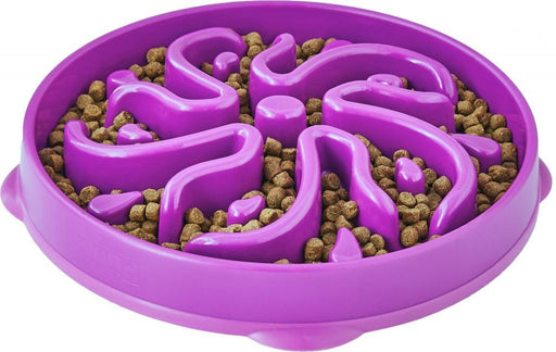 Outward Hound Fun Feeder - Joey's Pet Outfitters