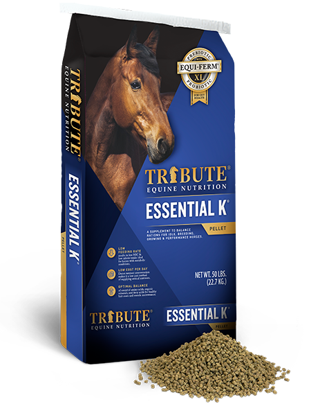  Constant Comfort Supplement Block to Support Gastric Health in  Horses, 15 lb : Pet Supplies