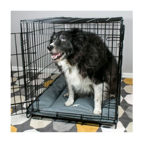 Dog Gone Smart Medium Dirty Dog Mat - Wilco Farm Stores