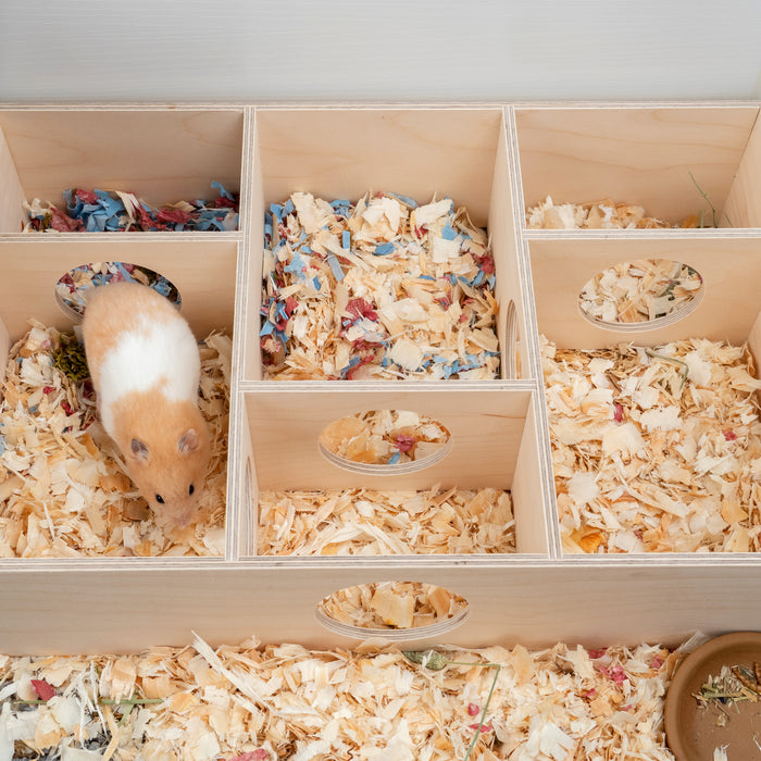 multi chamber hamster