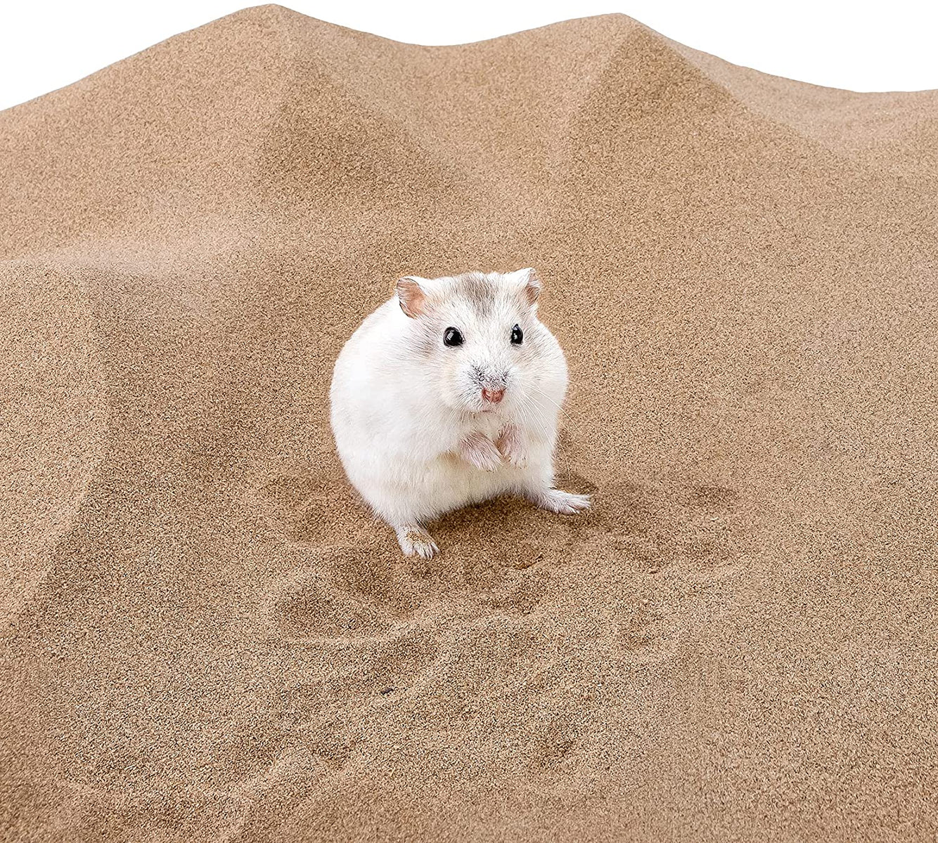 Niteangel Desert Bathing Desert Sand for Hamster Gerbil Mice Degu or Other Small Pets